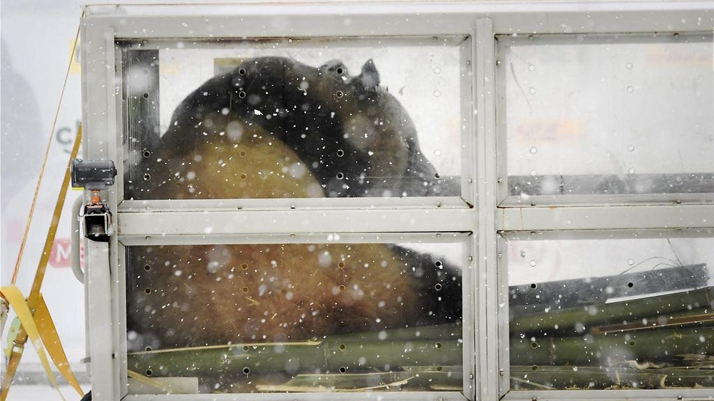 panda helsinki lentokenttä ähtäri 3