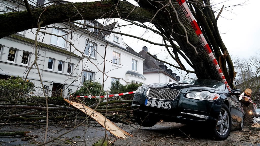 Rajut myrskypuuskat ovat katkoneet puita Saksassa. Dortmundissa puun alle on kuvassa jäänyt henkilöauto.