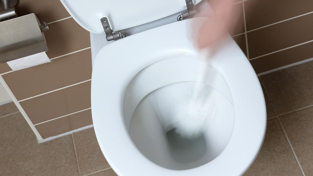 The Guardianin haastatteleman siivousalan ammattilaisen mukaan vessan pesemisen tapoja tulisi muuttaa. Aggie MacKenzie uskoo, että vessaharja joutaa historiaan.