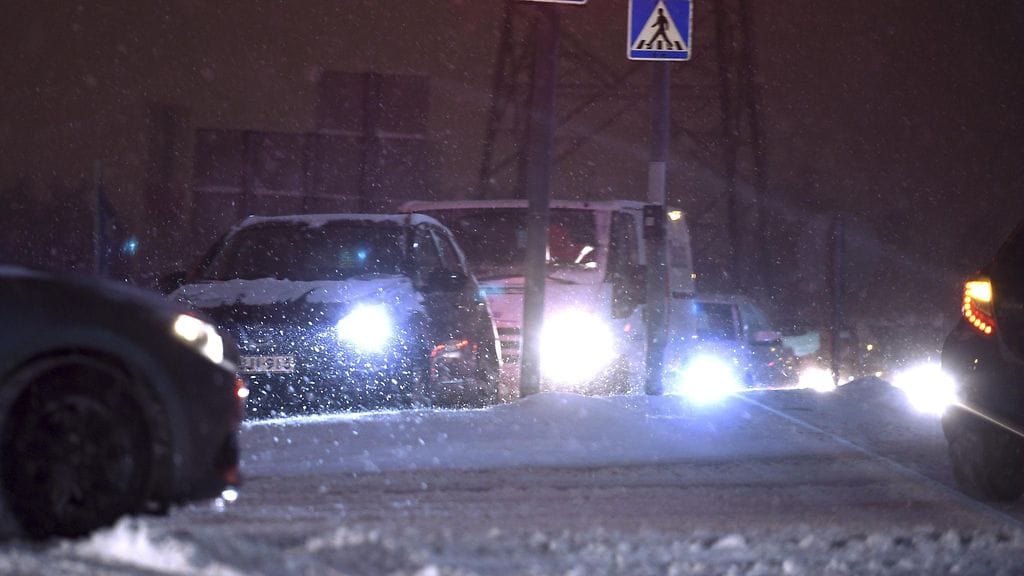 lumimyrksy lumimyräkkä