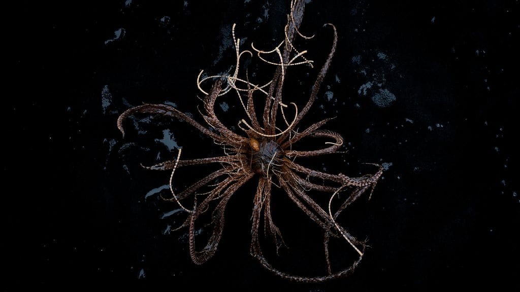 GP0STRHPG_PressMedia