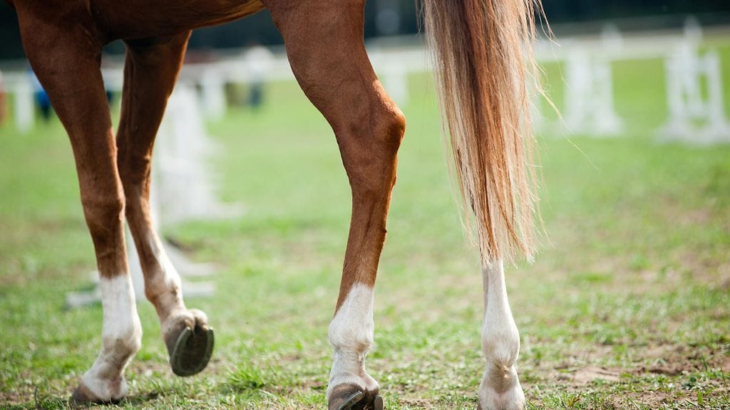 Vaunuissa istuneet lapset putosivat kyydistä ja loukkaantuivat. Kuvituskuva.