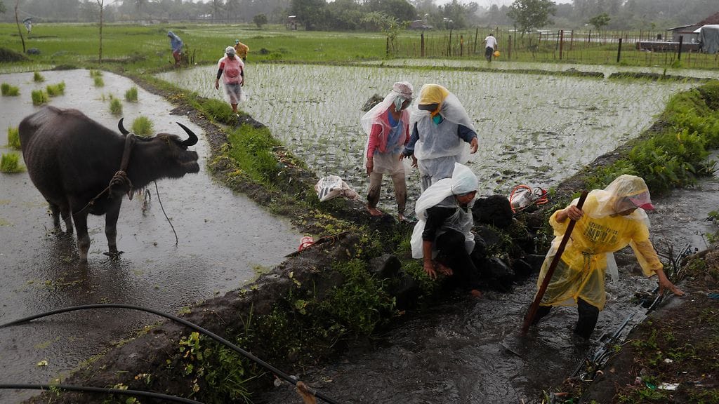 Mount Mayon Filippiinit 4