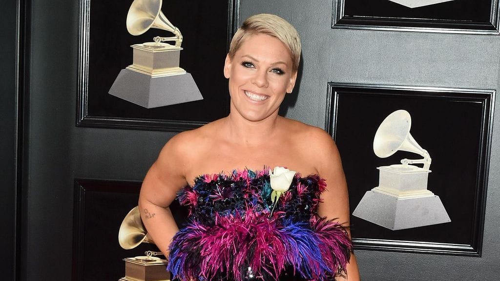 Artisti Pink ei jaksanut katsella konserttikävijää, joka ajoi vahvasti omaa agendaansa.