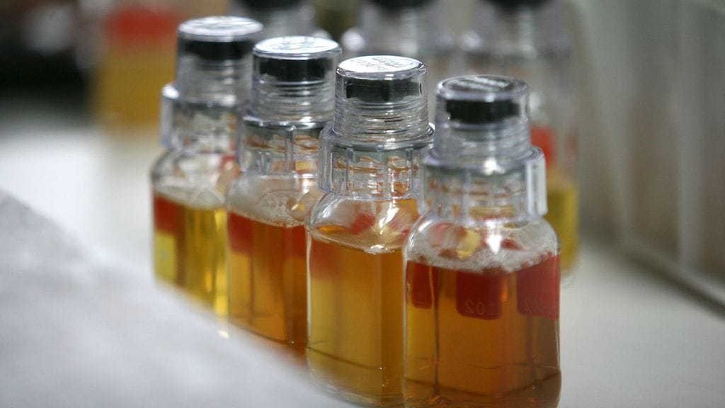 doping, kuvitus, näyte