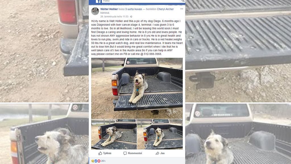 Syöpään kuoleva Walt Hollier löysi koiralleen kodin Facebookista.