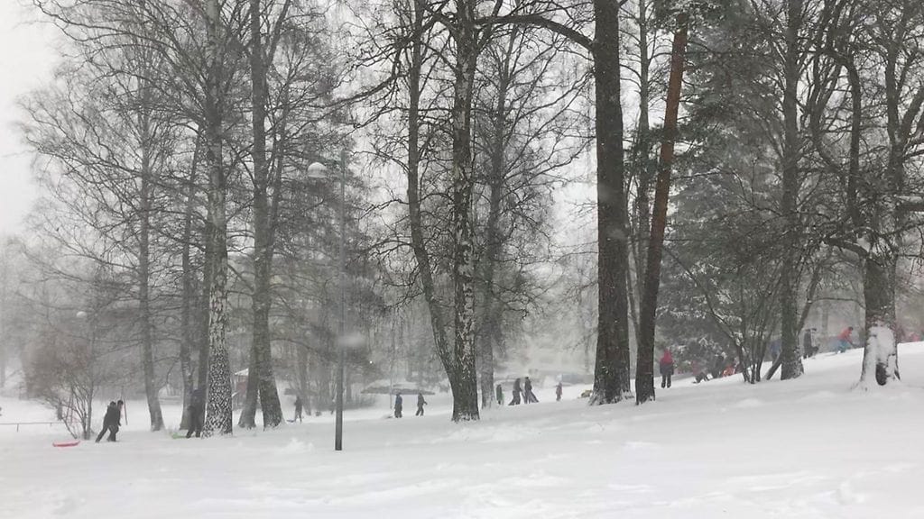 Koululaisia mäessä lumituiskussa Munkkiniemessä 1.2.2018.