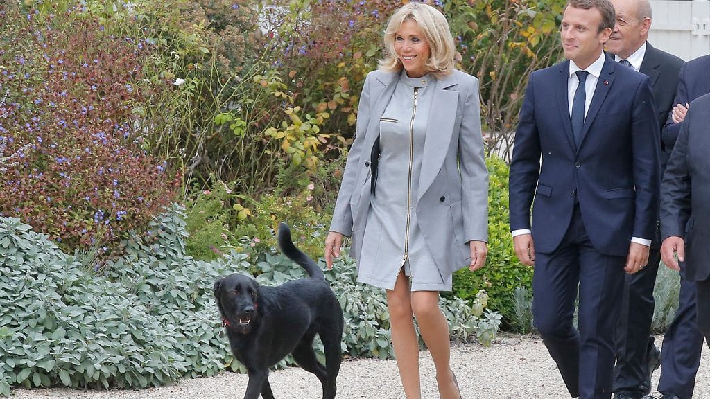 Ranskan presidentin Emmanuel Macronin puolison Brigitte Macronin nimissä yritettiin päästä muun muassa F1-osakilpailuun.