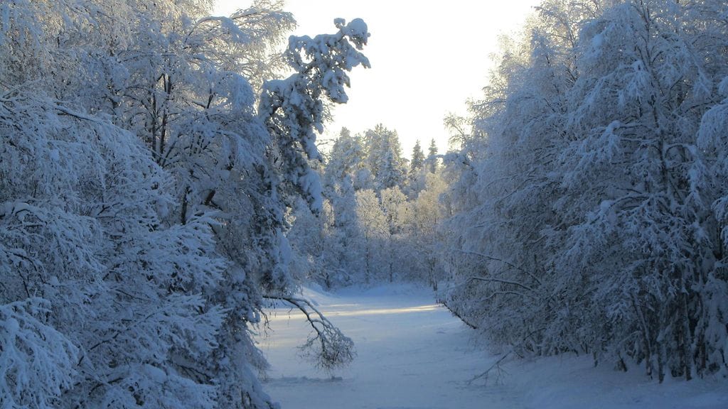 Etelä-Salla Karhunkierroksen varrelta Kuolajoki Jorma Iso-Heiko