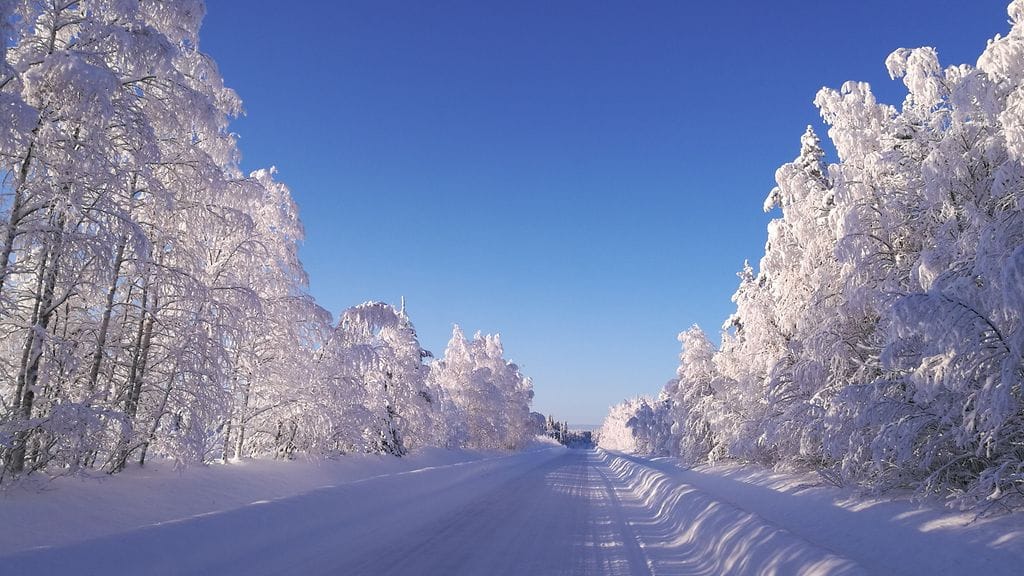 IMG_20180203_131241_resized_20180203_044506540