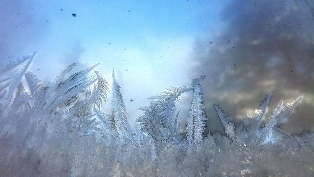 Kurussa Pirkanmaalla kymmenen pakkasastetta saivat kuurankukat kukkimaan. Kuva: Juan M. Sandin.