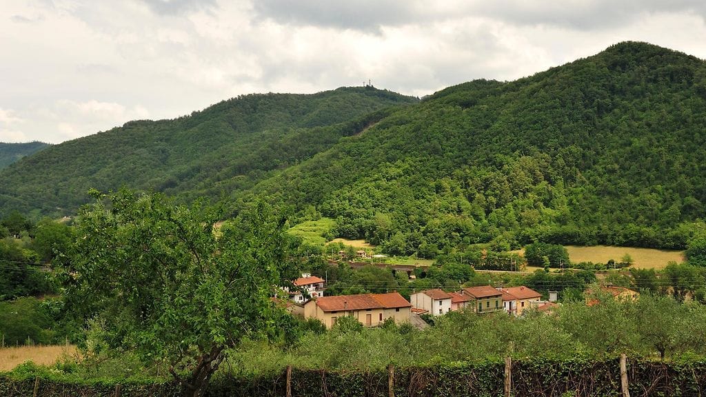 Ollolain kylästä saa kodin nyt 1,25 dollarin kappalehintaan. Kuvituskuva.