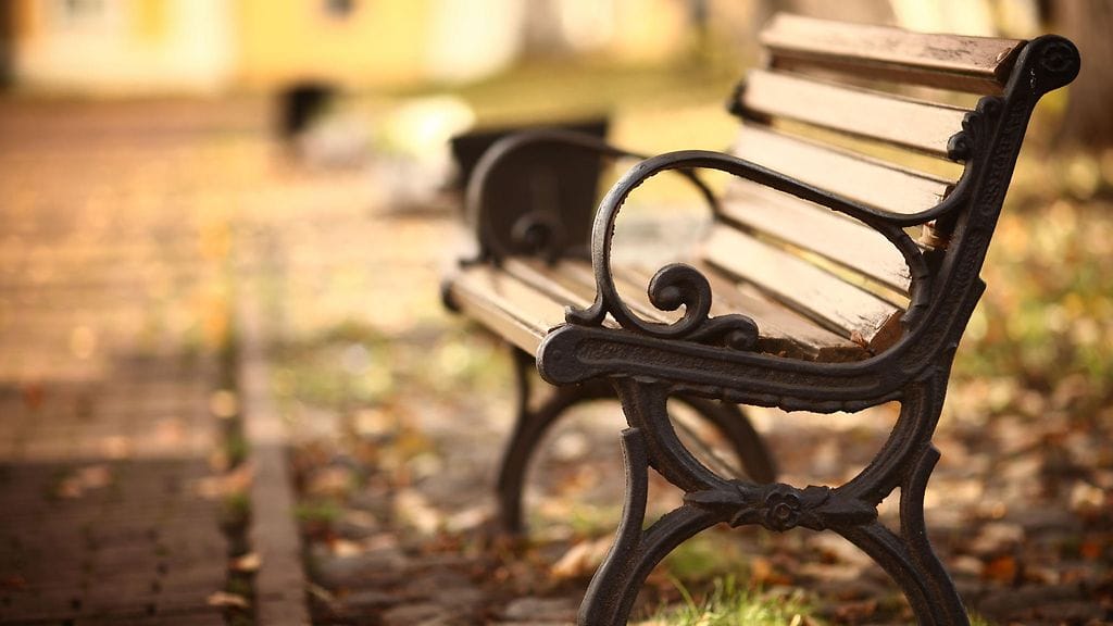 puiston penkki syksyllä