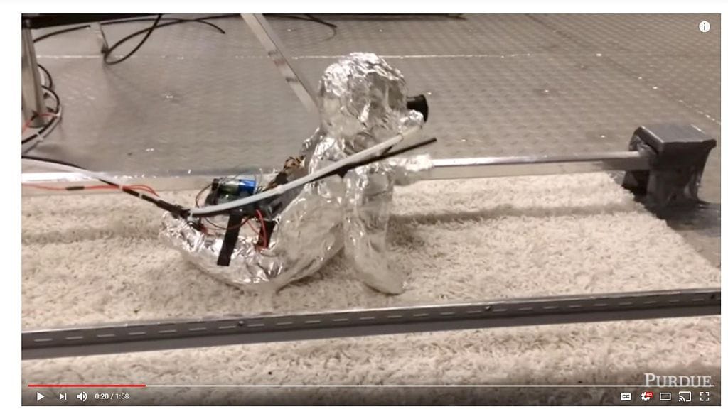 Kuvakaappaus Purduen yliopiston Youtube-videosta, jossa robottivauva ryömii.