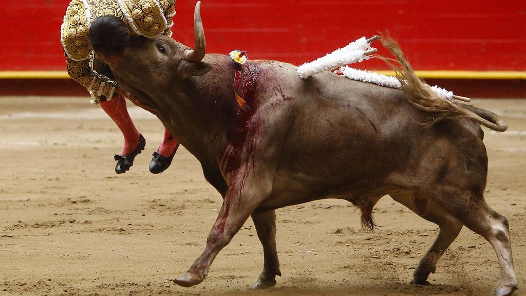 YK:n lapsen oikeuksien komitea on vedonnut Espanjaan, jotta se kieltäisi lapsia osallistumasta härkätaisteluihin.