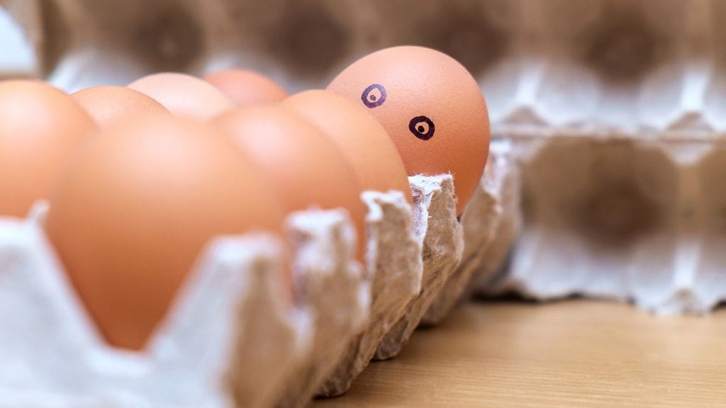 muna silmillä, kananmunat