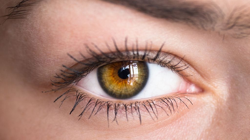 Mistä johtuvat oudot valoilmiöt, joita näemme hieroessamme kovasti silmiä?