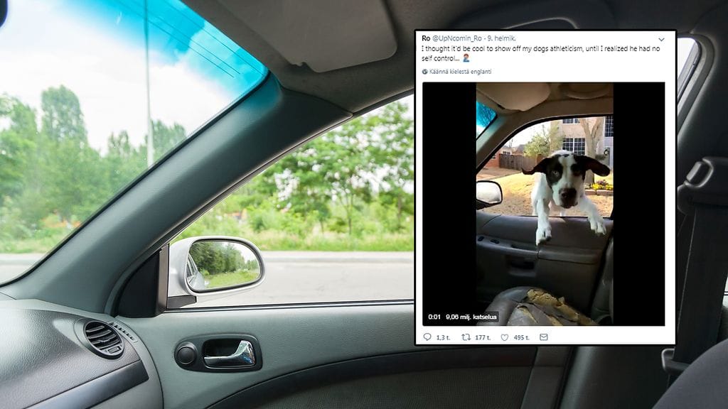 Koira totteli omistajansa käskyä vähän turhankin vauhdikkaasti.