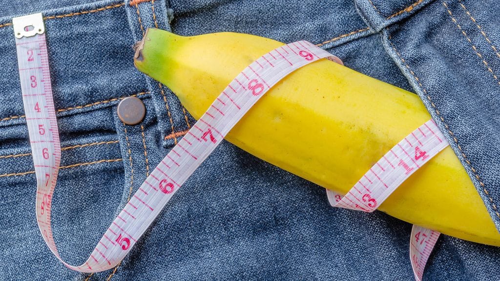 Jokaisen penis on omanlainen, mutta tietyt asiat voivat tehdä siitä pari senttiä pienemmän.