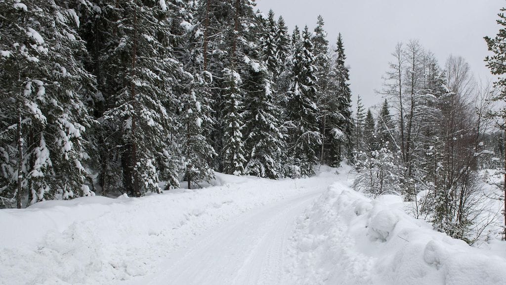 Ruotsin MM-ralli ajetaan erittäin lumisissa olosuhteissa.