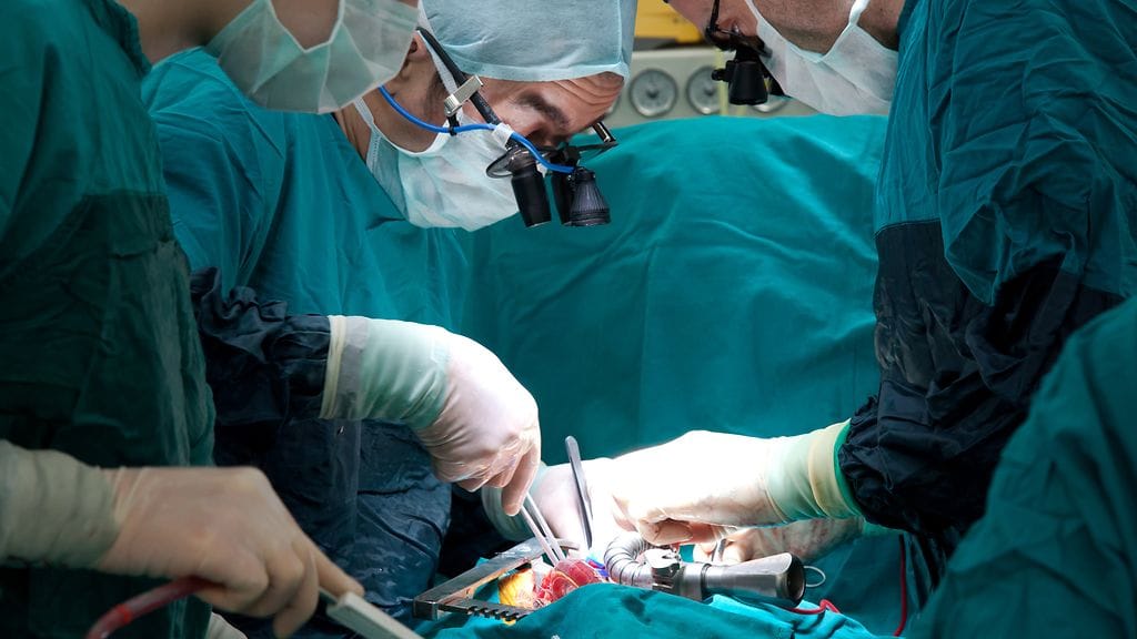 Leikkaukset, joissa potilas saa kaksi sydäntä, ovat erittäin harvinaisia.