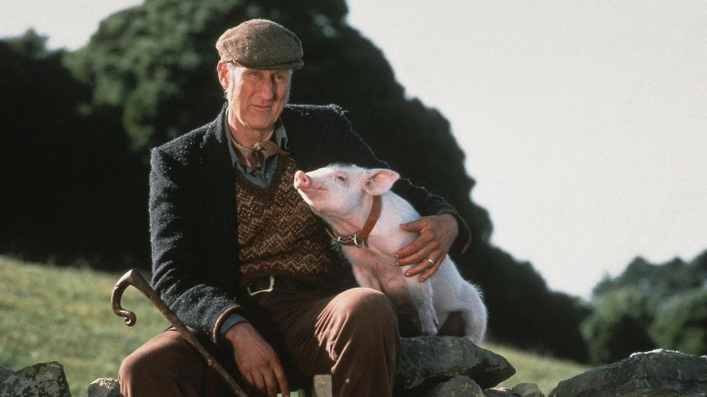 Babe – urhea possu