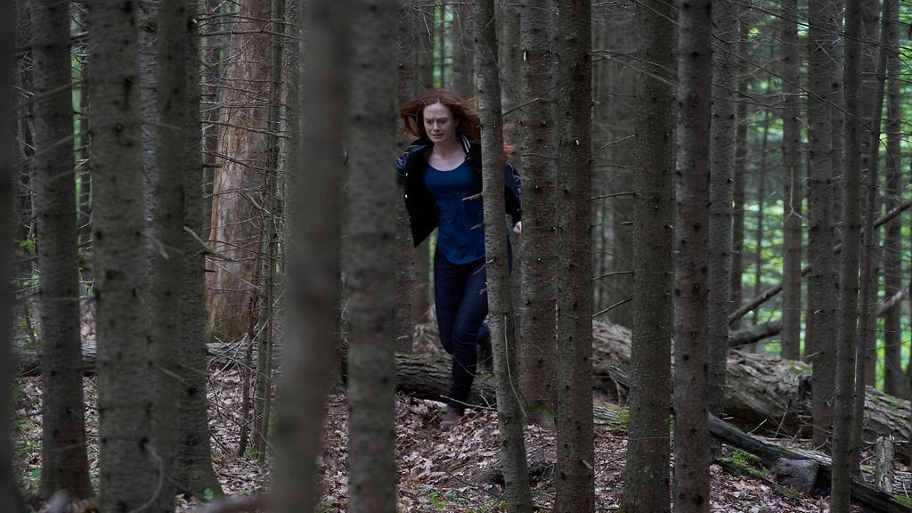 cardinalseason2_259746