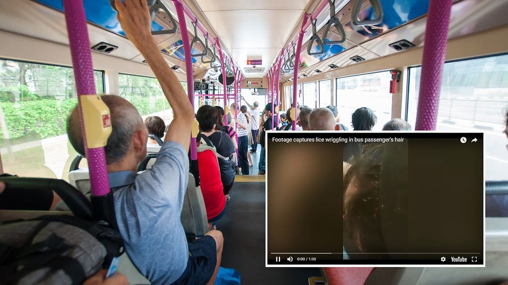 Kanssamatkustajan päässä voi muhia ikävä yllätys, jos oikein huonosti käy.