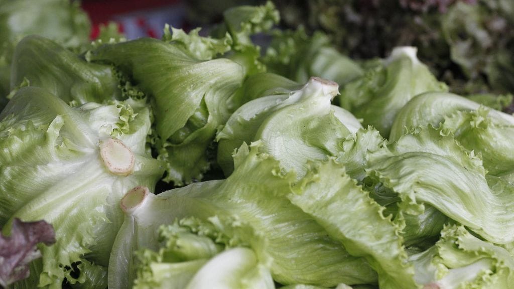 Kasvisruokavalio ja Välimeren ruokavalio näyttävät laihduttavan yhtä tehokkaasti.