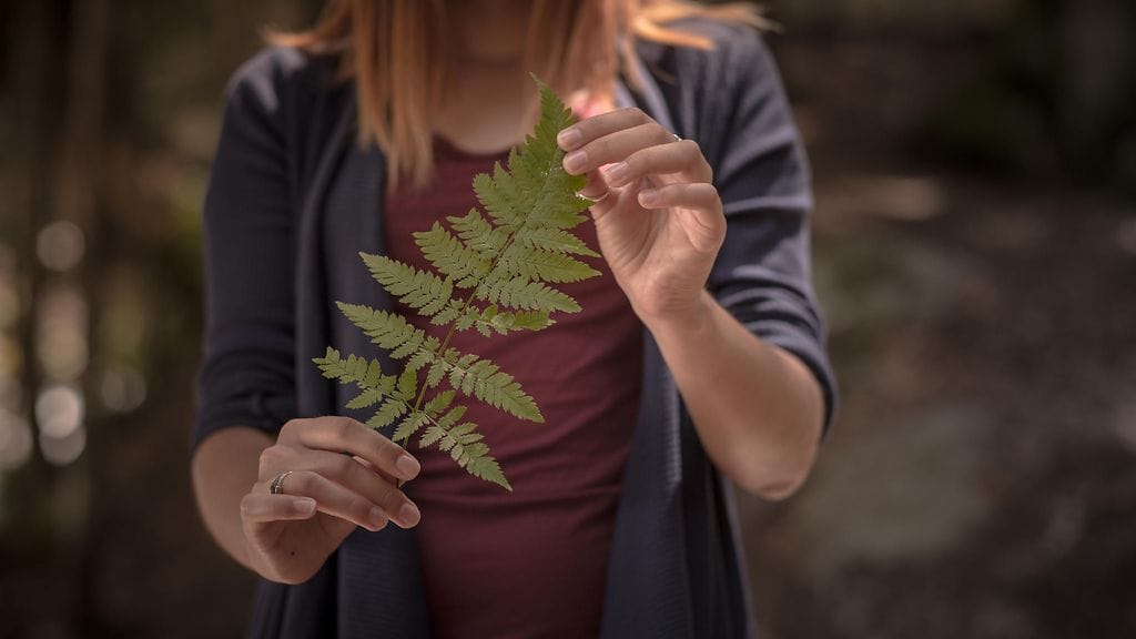 Kauriin kesä 2024 on täynnä vakautta ja syvää rakkautta.