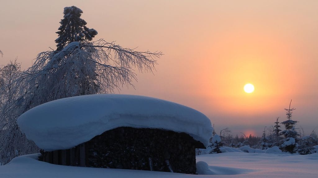 Raija Kokkola, Valtimo
