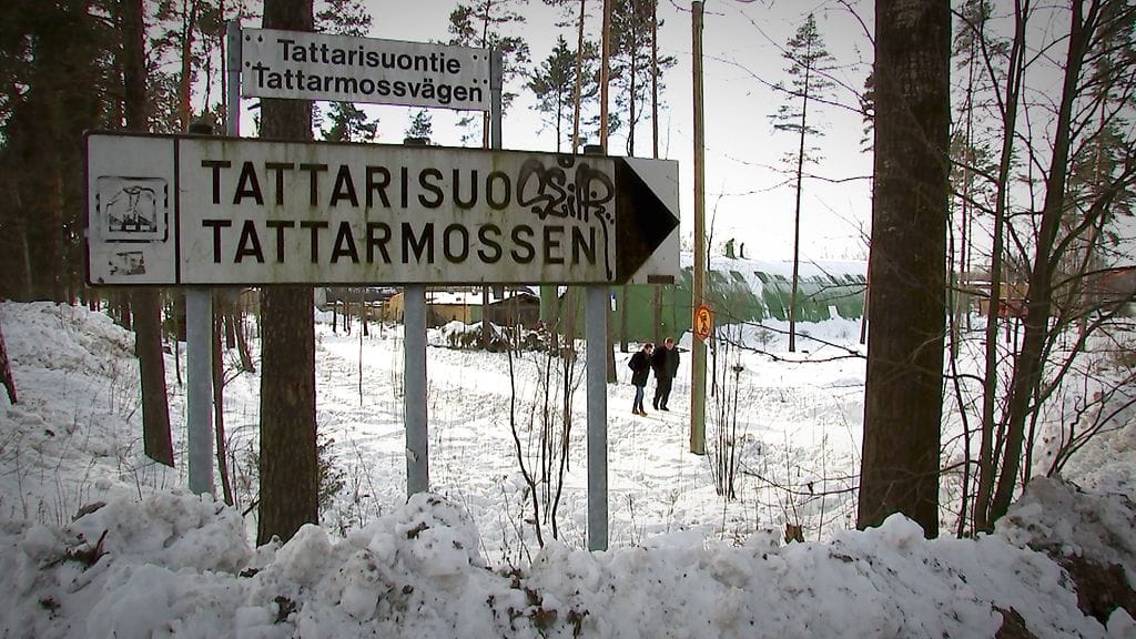 Poliisi epäilee, että virolaisen rikollisryhmittymän välienselvittelyihin liittyviä raakoja pahoinpitelyjä tapahtui muun muassa Tattarisuolla. Asiasta kerrotaan illan Rikospaikka-ohjelmassa.