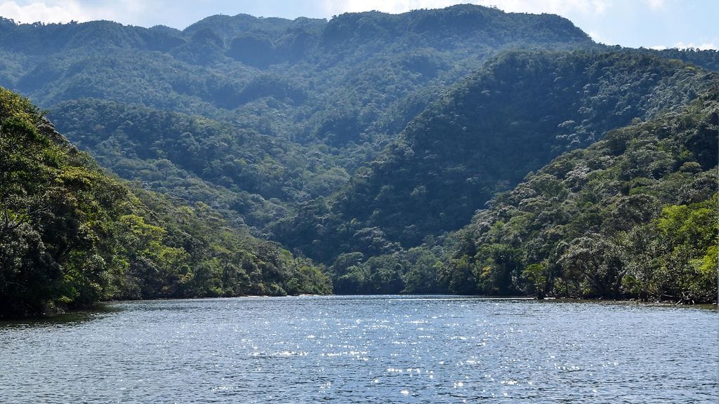 iriomote island japan