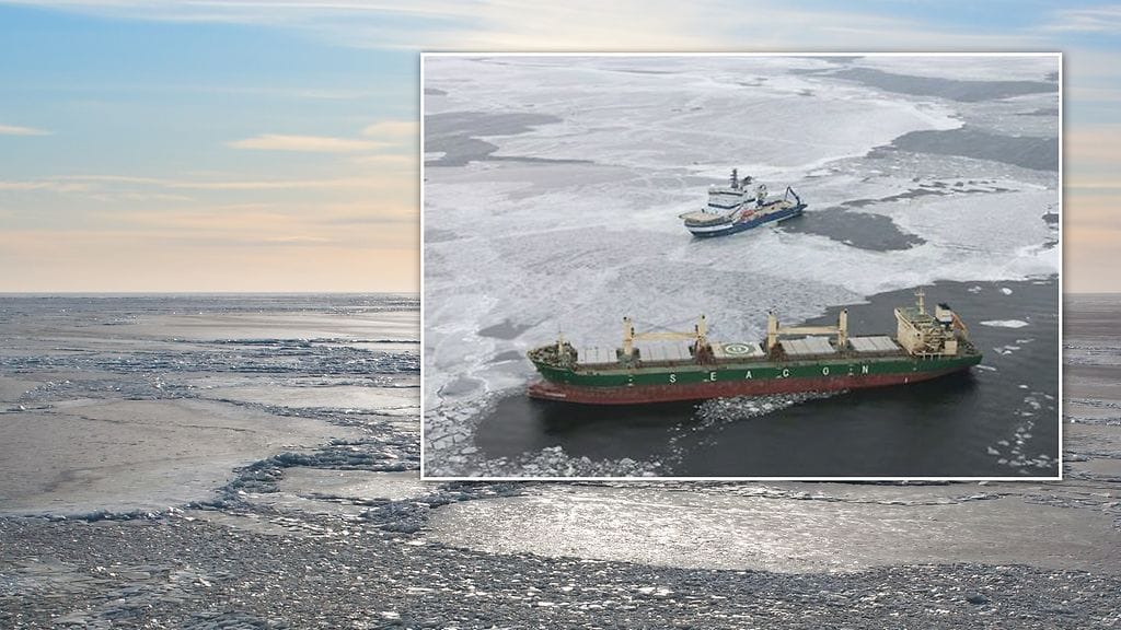 Vuodon seurauksena laiva ei pääse liikkumaan omilla koneillaan, ja sen luona on jo jäänmurtaja Nordica.