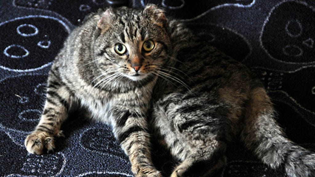 Kuva: Sauvo Jylhä / Keski-Uusimaa-lehti