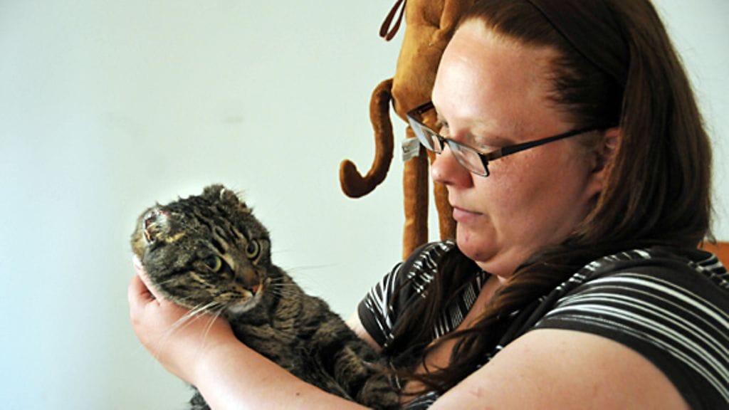 Kuva: Sauvo Jylhä / Keski-Uusimaa-lehti