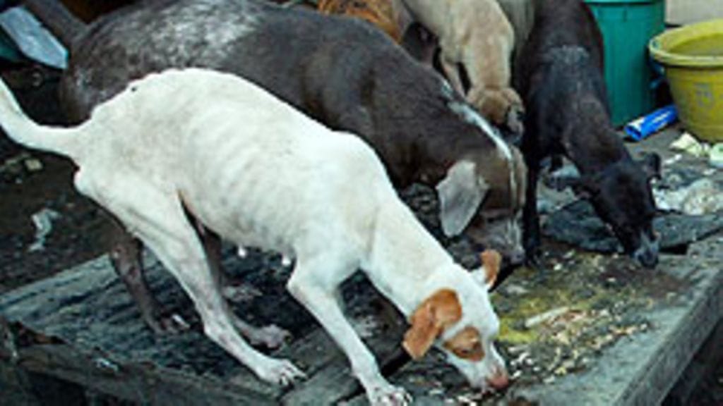 Kuva: EPA (Kuva ei liity tapaukseen)