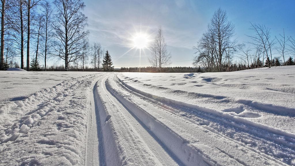 AOP sukset hiihto hiihtäminen kuvituskuva 1.03497260