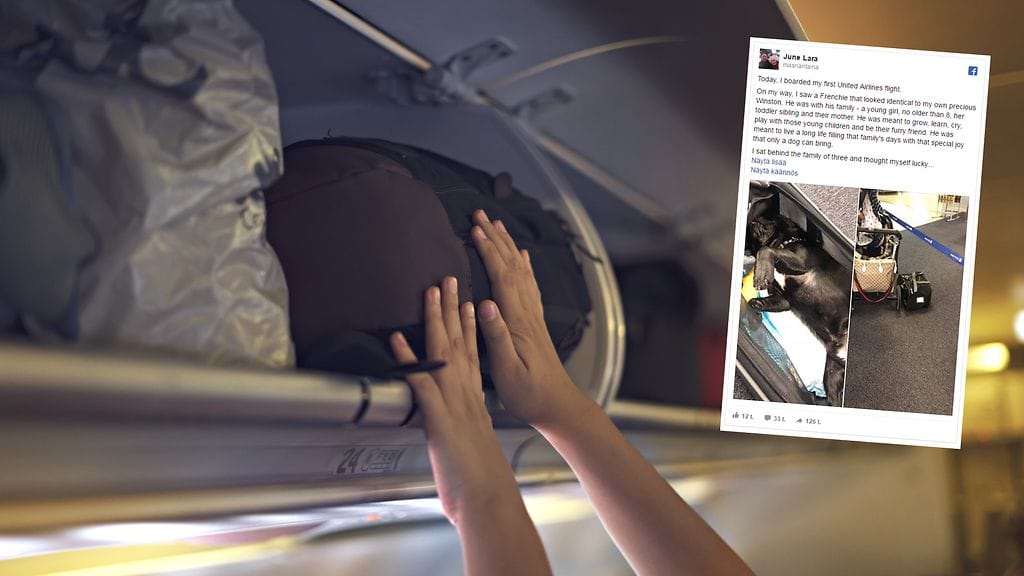 Eläinten kantolaukussa ollut koira menehtyi matkatavarahyllyllä neljän tunnin lennon aikana.