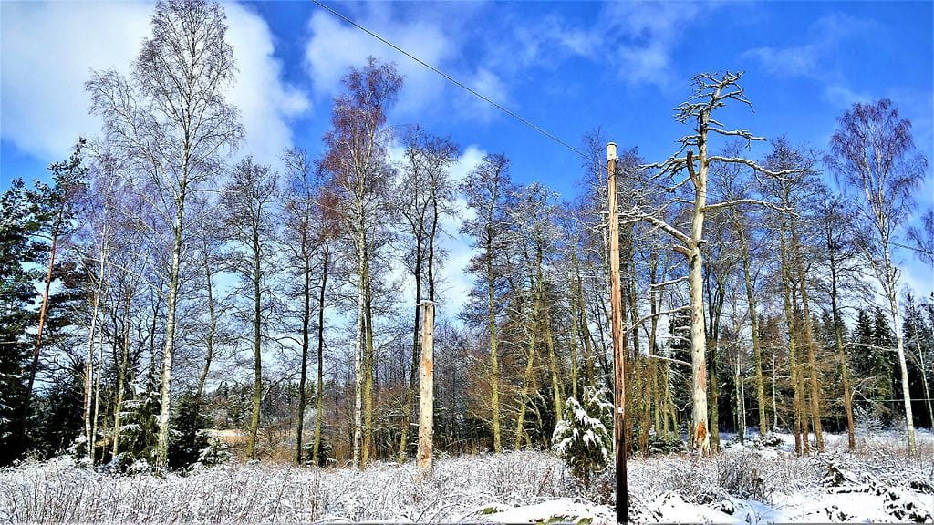 Kevät onn tulossa, mutta näköpiirissä on plusasteita vain sunnuntaina.