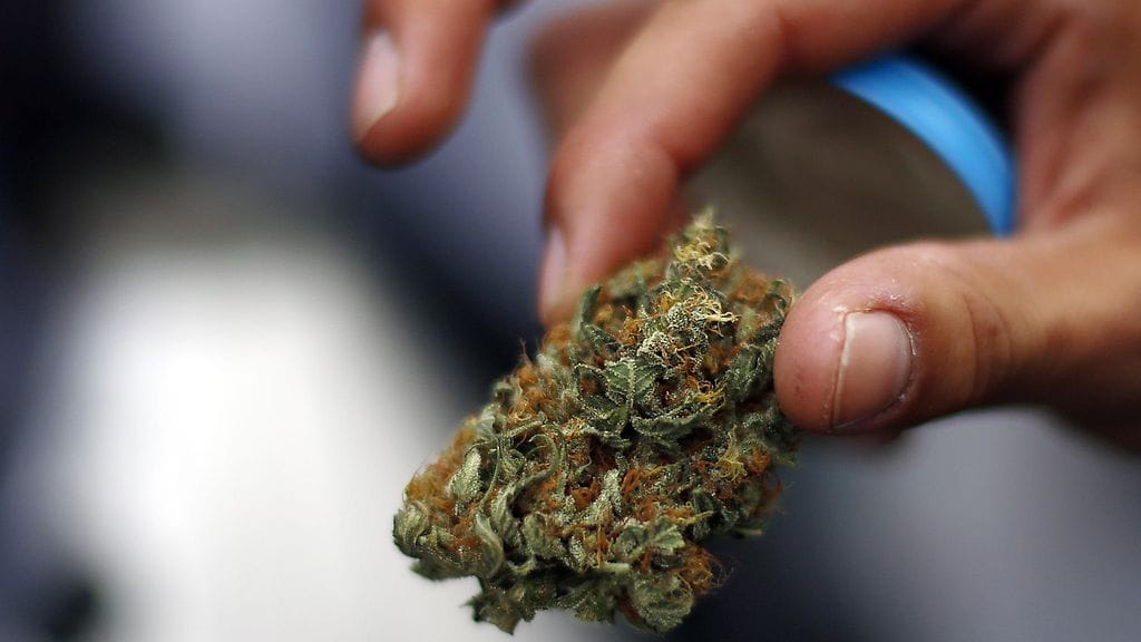 Tehovalvonnassa poliisi takavarikoi muun muassa noin 1,4 kiloa kannabista.