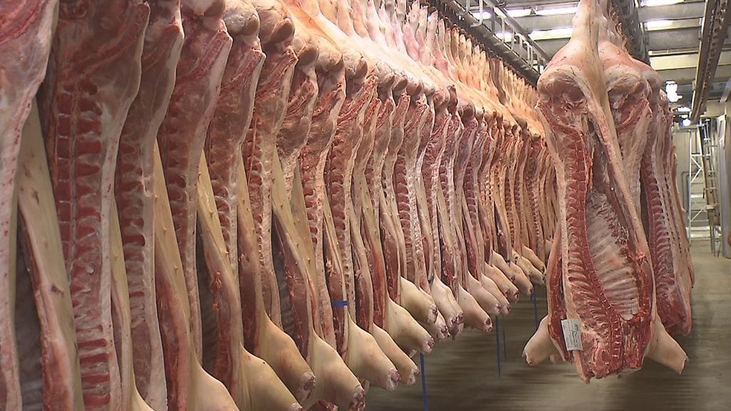 HKScanille määrättiin useiden tuhansien yhteisösakko puutteellisen lihasekoittimen vuoksi. Kuvituskuva.