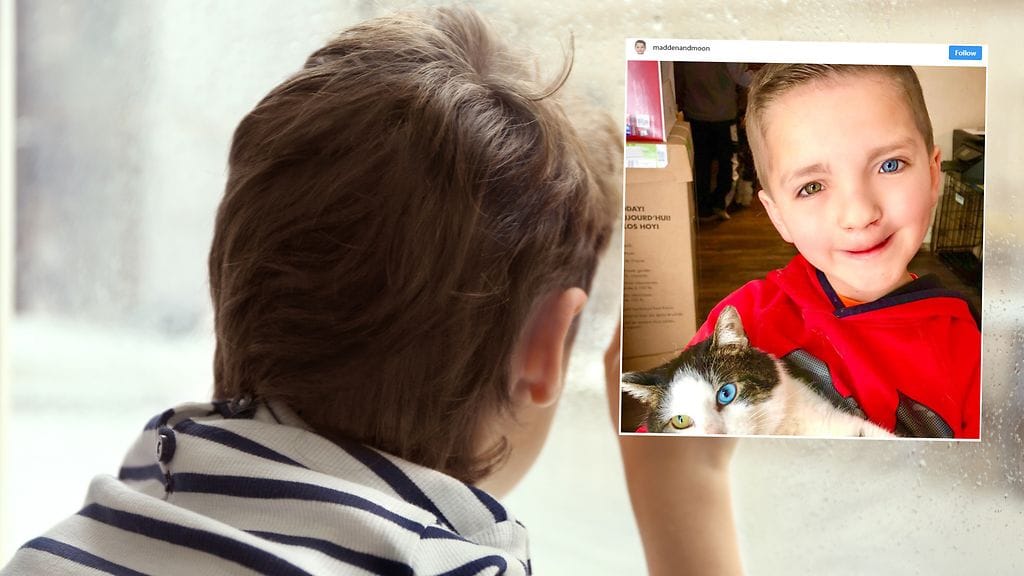 Erityinen lemmikki on helpottanut kiusatun pikkupojan yksinäisyyttä.