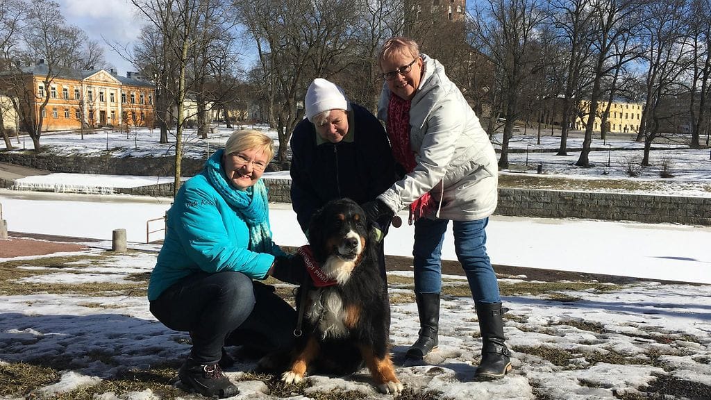 File 29.3.2018 11.31.23