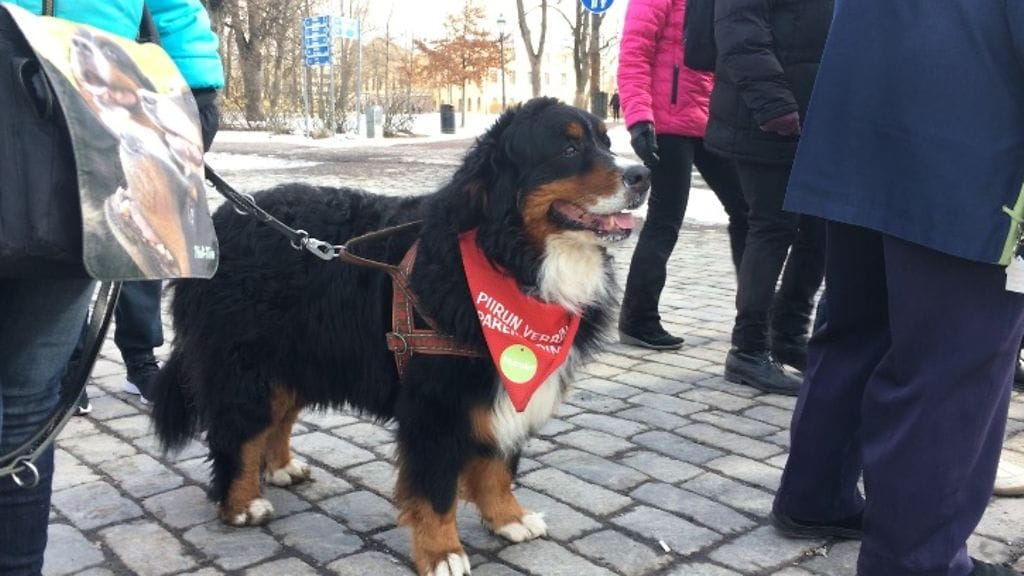 File 29.3.2018 11.33.47