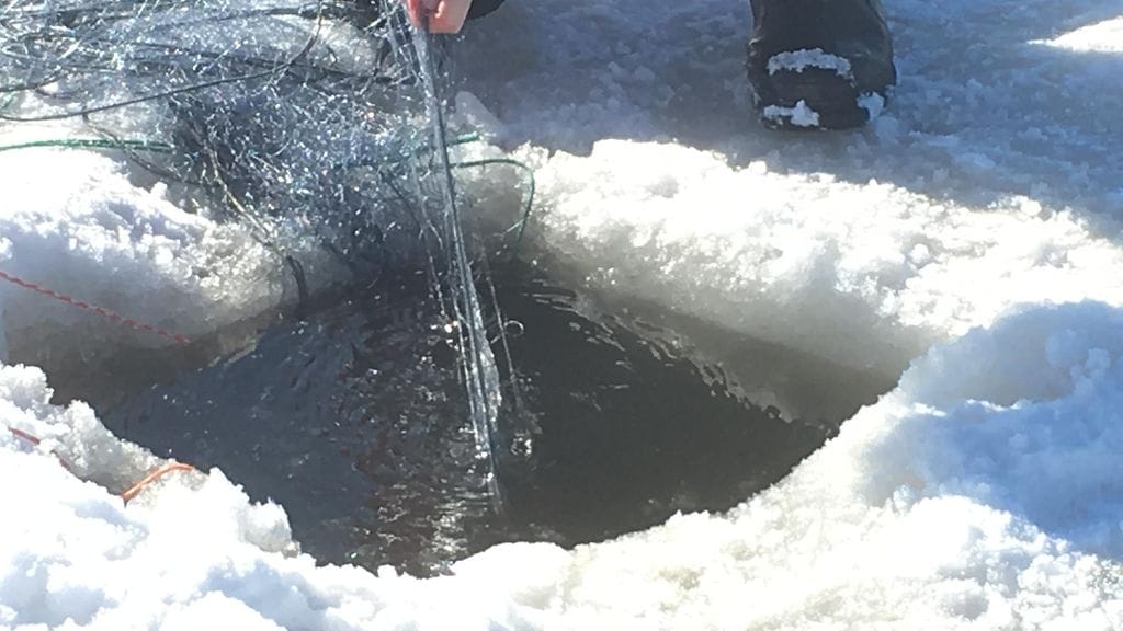 Talvikalastus, avanto