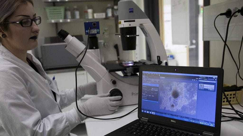 Sydänmalli on jo hyvin pitkällä, sillä tutkijat ovat kehittäneet sitä yli kuusi vuotta.