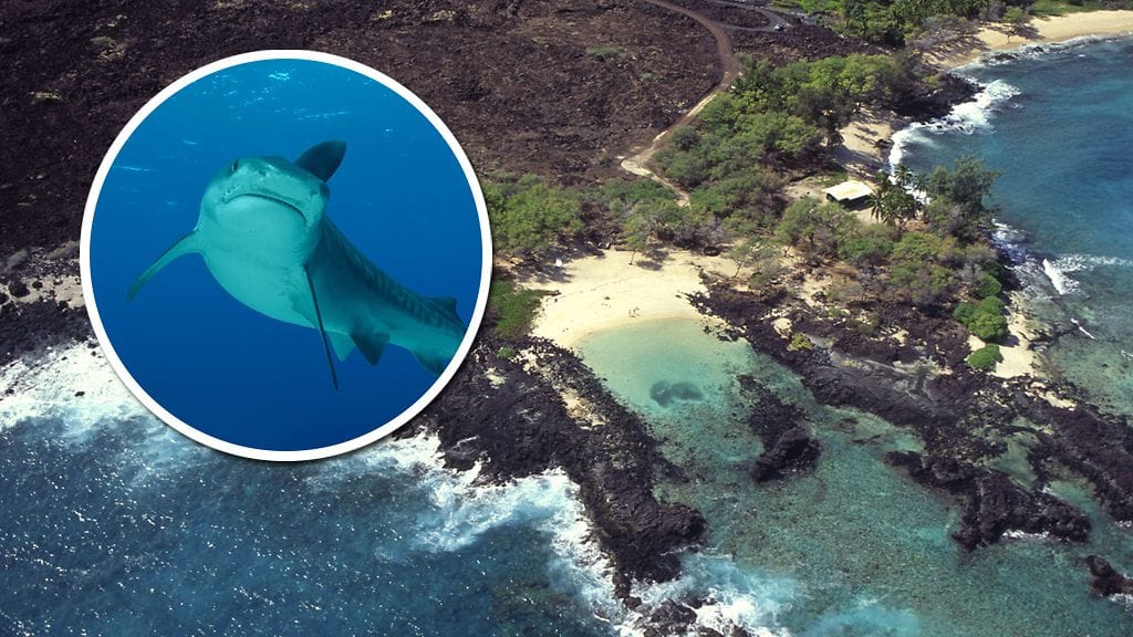 Arkistokuvassa Kukio Beachin rantaa Havaijilla vuodelta 2005.