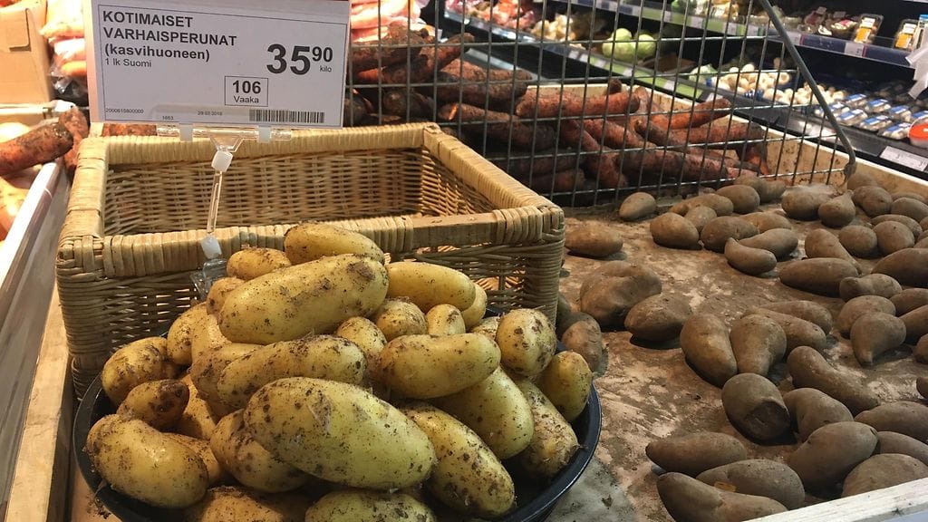 Kotimaisista varhaisperunoista saa vielä pulittaa yli 35 euroa kilolta.