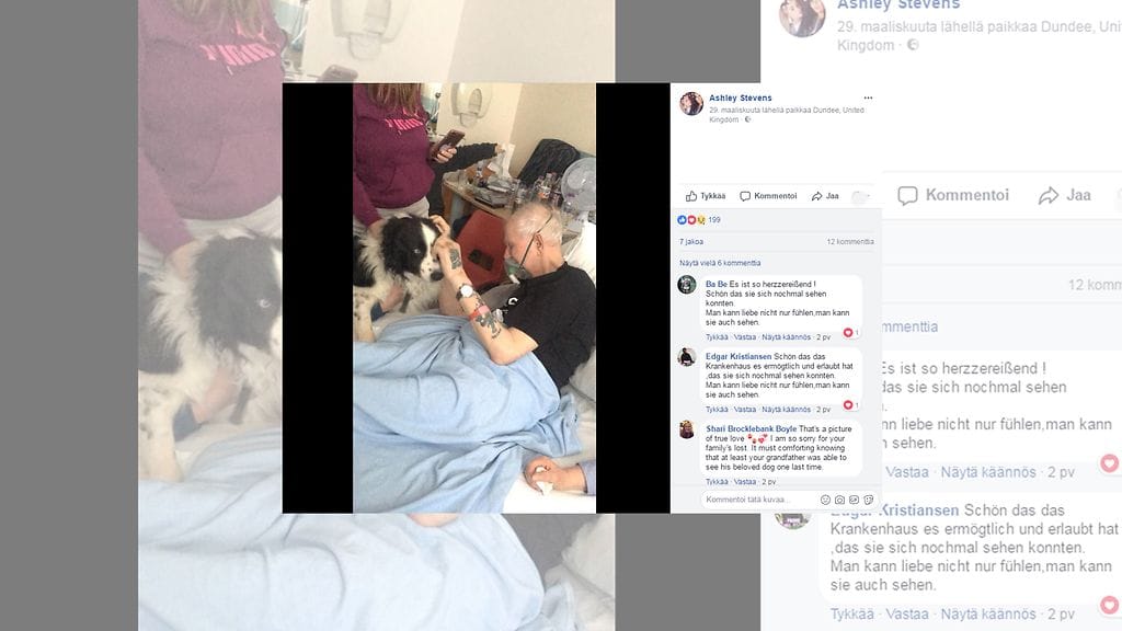 Peter Robson, 70, oli omistanut Shep-koiran jo kahdeksan vuotta. Kuvan lähde Facebook